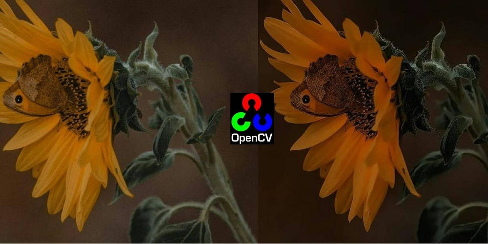 صورة لـ استكشاف مشاريع الذكاء الاصطناعي المُثيرة التي يُمكن تنفيذها باستخدام Raspberry Pi | 11is3R7xnK_hJtOuXGi_RnA-DzTechs