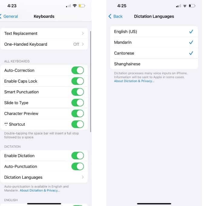 صورة لـ إصلاحات عندما لا يعمل الإملاء على الـ iPhone الخاص بك | 1Sf4SX67OKeJaFklt0jSuog-DzTechs