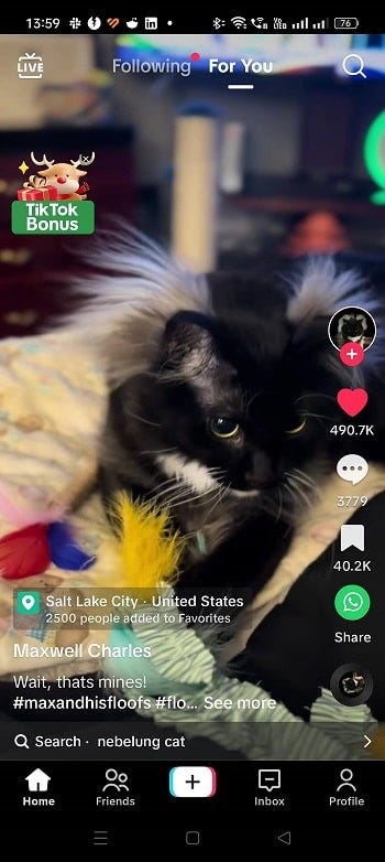 صورة لـ كيفية تغيير تكوين صفحة “من أجلك” (FYP) على TikTok لتلبية اهتماماتك | 1sMMJQ-XGNb_2UaqGdYw_BQ-DzTechs
