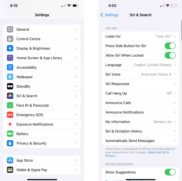 صورة لـ حل مشكلة عدم عمل Siri على الـ iPhone أو الـ iPad: دليل الإصلاح الشامل | 1fbLvpJNC0qnVkaDQ8lqvMg-DzTechs