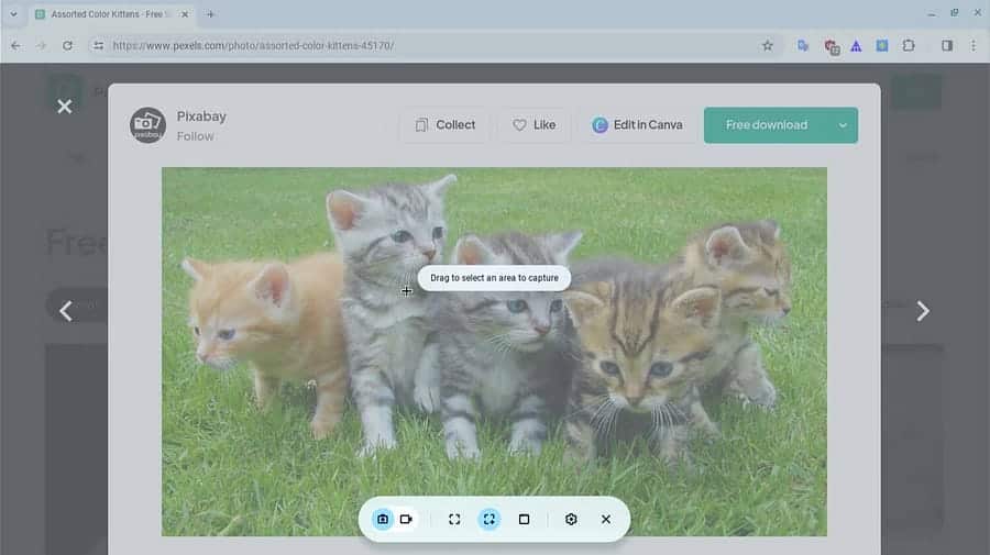 صورة لـ كيفية التقاط لقطة شاشة على Chromebook باستخدام أداة “لقطة الشاشة” | 11BJxl5hMz2Bwv1Al3JZr_A-DzTechs