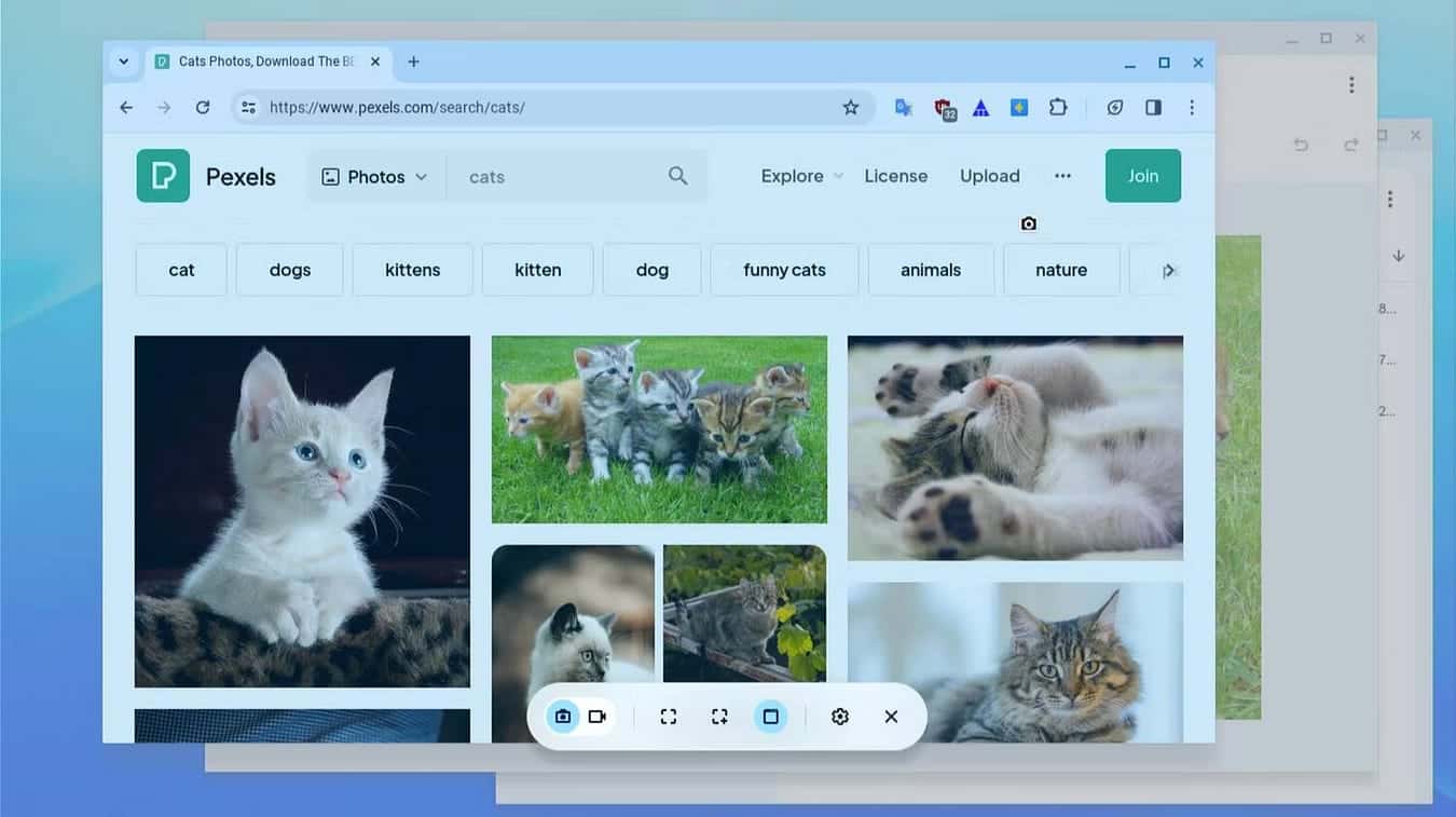 صورة لـ كيفية التقاط لقطة شاشة على Chromebook باستخدام أداة “لقطة الشاشة” | 1Fl1IeRbuYu-qie0PjQuVJA-DzTechs