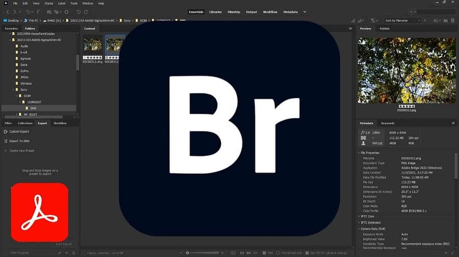 صورة لـ دليل استخدام Adobe Bridge للمُبتدئين: كيفية إدارة مُحتوىك بكفاءة | 1Qzesh_HyrQAlTRa2cg1IVA-DzTechs