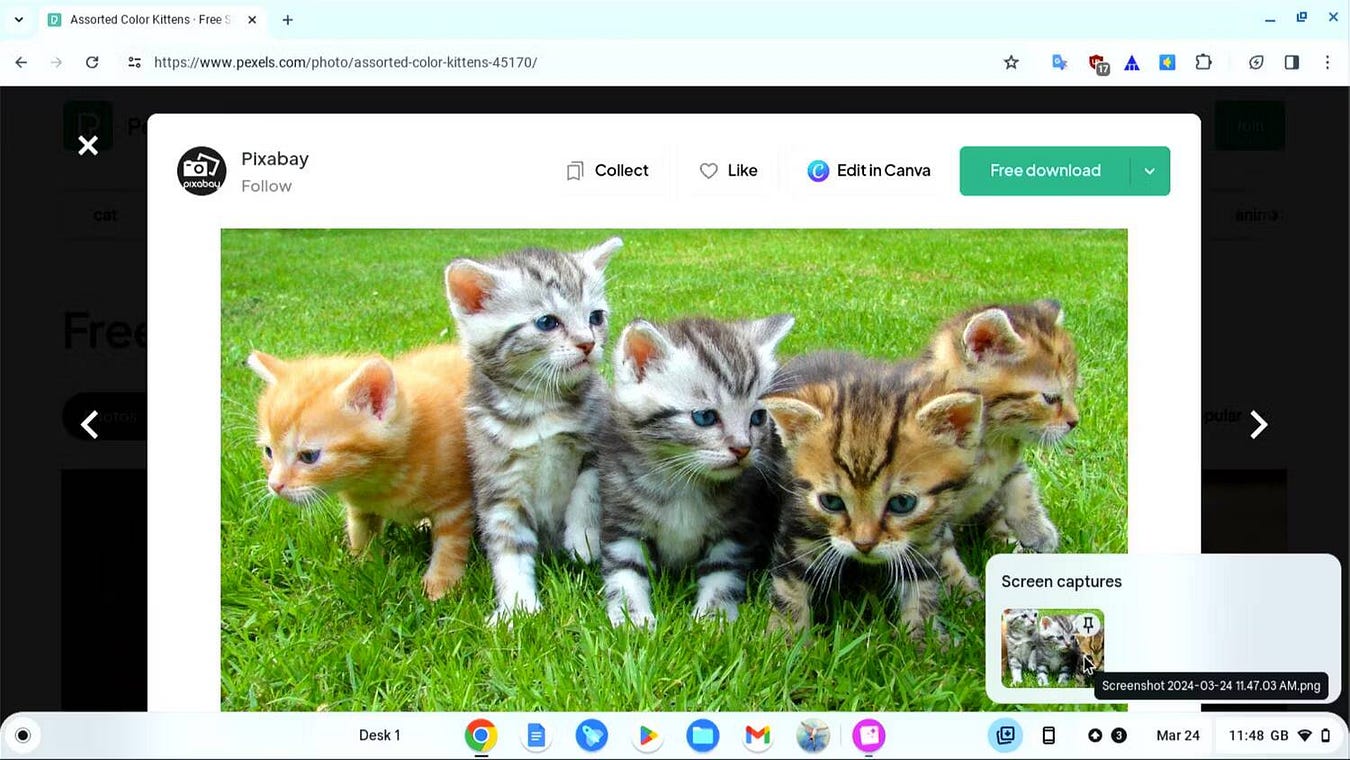 صورة لـ كيفية التقاط لقطة شاشة على Chromebook باستخدام أداة “لقطة الشاشة” | 1cy3Th9Mcy4EjGXzEwZSBSQ-DzTechs