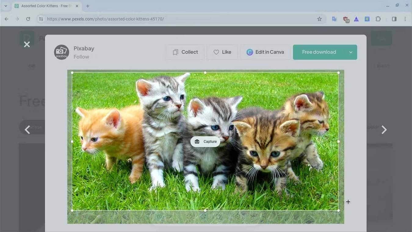 صورة لـ كيفية التقاط لقطة شاشة على Chromebook باستخدام أداة “لقطة الشاشة” | 1j-b67Rv370SYINamA03Fvg-DzTechs