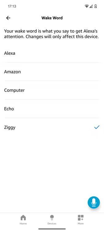 صورة لـ كيفية تغيير اسم Alexa أو كلمة التنبيه إلى شيء أفضل لتحسين تجربة الاستخدام | 1oLG4pz7m4EcabvFn0LRvpg-DzTechs