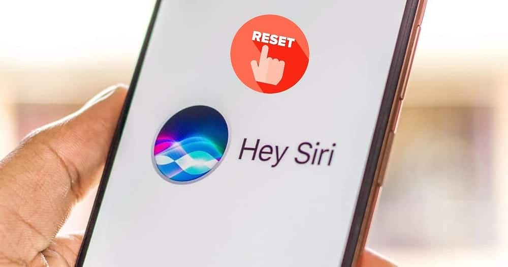 صورة لـ كيفية إعادة تعيين Siri على الـ iPhone أو الـ iPad أو الـ Mac | 1cNiUtfdCjNdlvdxd6PbNVw-DzTechs