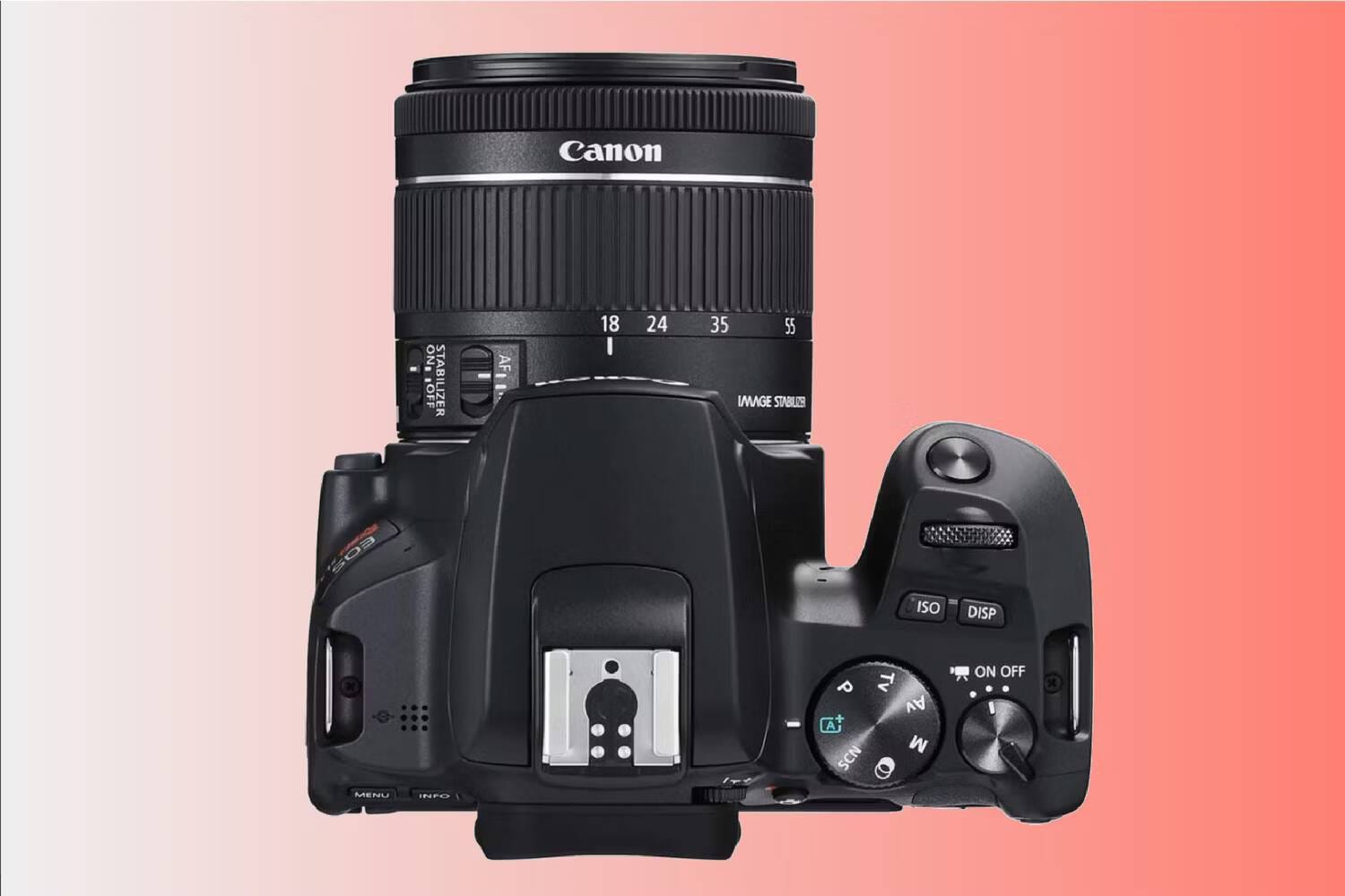 صورة لـ أفضل كاميرات DSLR الإقتصادية المُتاحة في عام 2024 | 1OKMPQM8_UpA9N8IoWufGXA-DzTechs