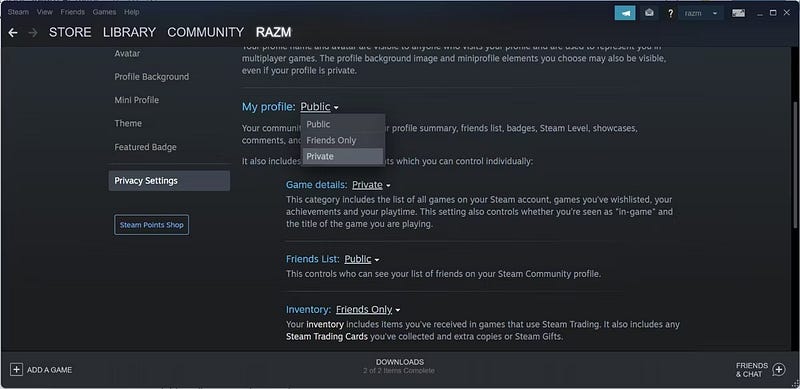 صورة لـ كيفية إخفاء نشاطك على Steam للحفاظ على معلوماتك | 1E0kE8CSP1ska4pn16CdyQQ-DzTechs