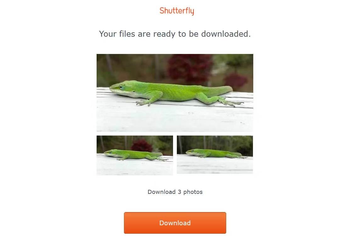 صورة لـ دليل لتنزيل صورك كاملة من Shutterfly | 1SaB1Q0SOuf0lj_stS7Huzw-DzTechs