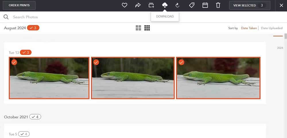 صورة لـ دليل لتنزيل صورك كاملة من Shutterfly | 1fw7aAOn9NXeSwsQ_d4QePQ-DzTechs
