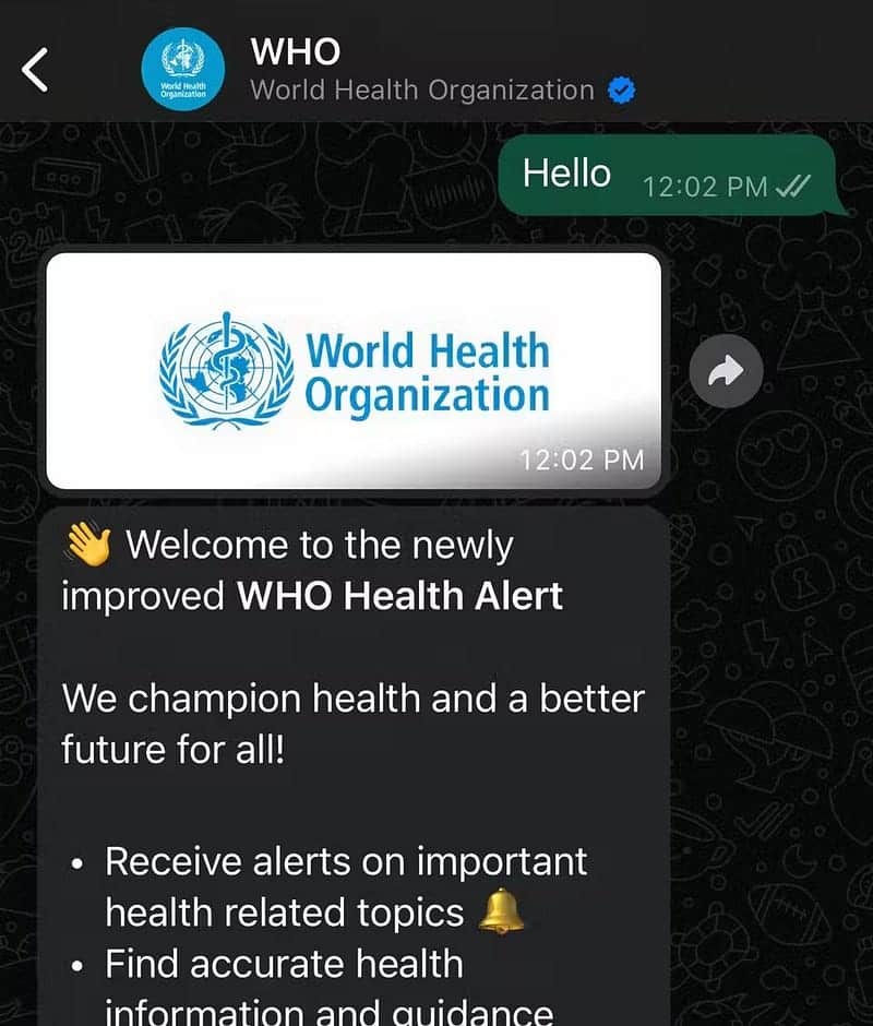 صورة لـ لماذا يُعد WhatsApp الخيار الأفضل لي للتواصل بين تطبيقات المُراسلة؟ | 1tQmK3DqV0b4OBRIhYT_Bfg-DzTechs