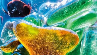 كيف يجعل الـ iPhone 16 تصوير الماكرو في مُتناول يدك