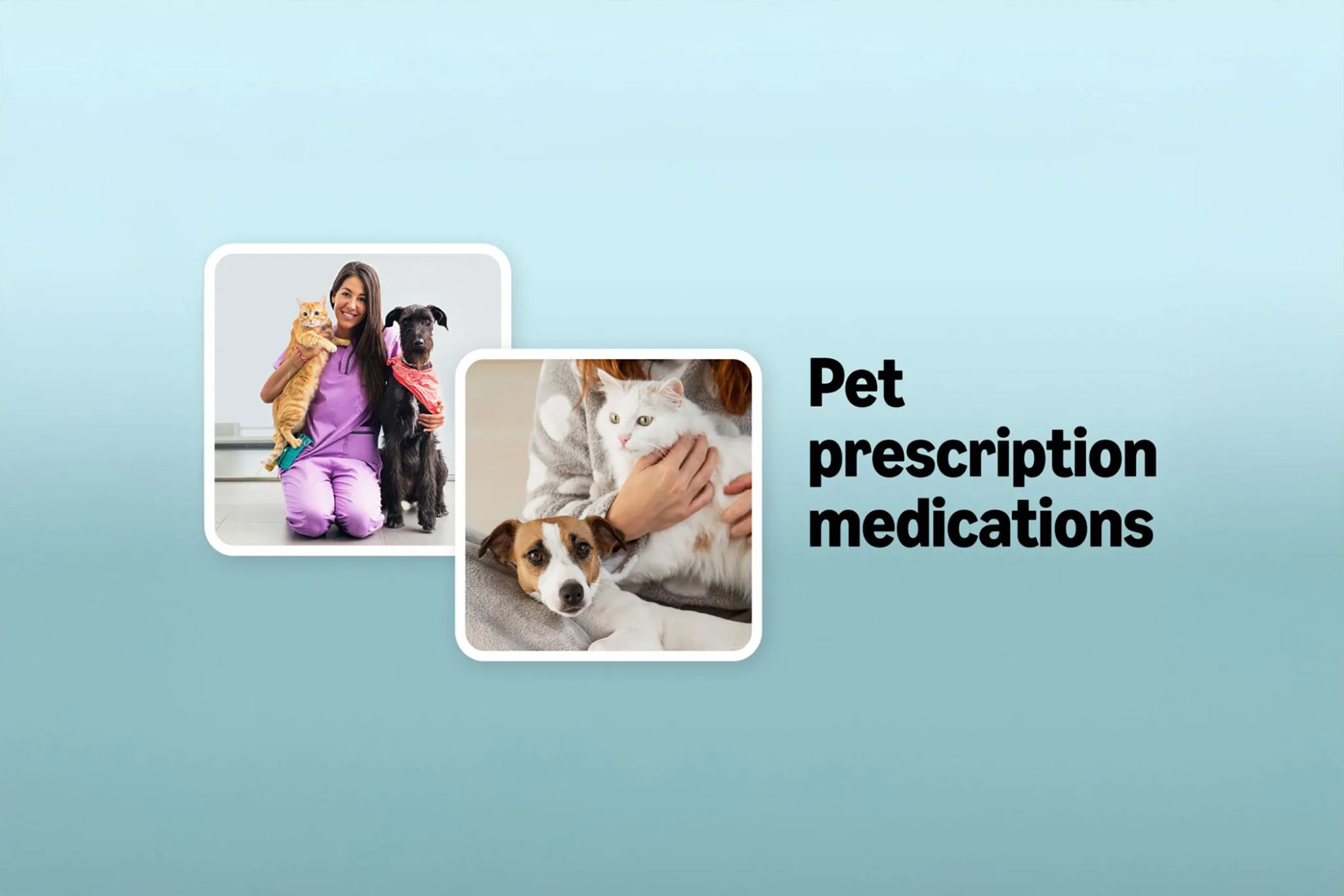 Vetsource
